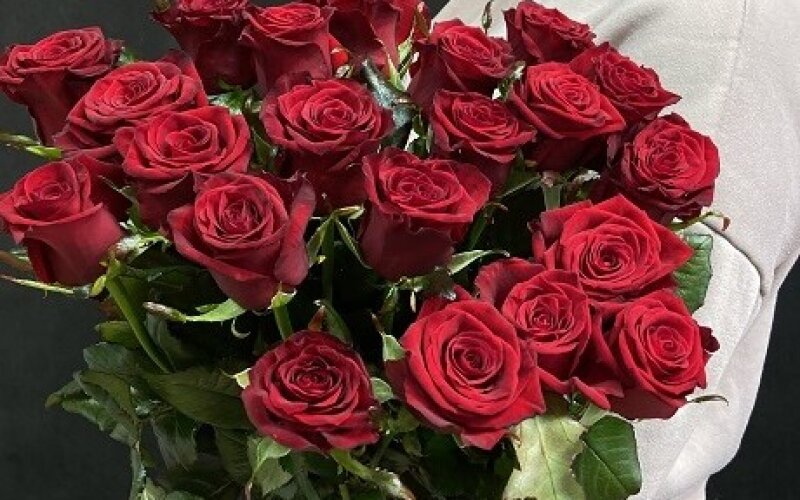 21 роза красная 60 см