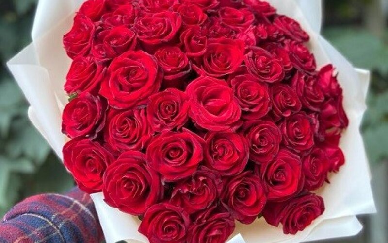 51 роза красная 40 см