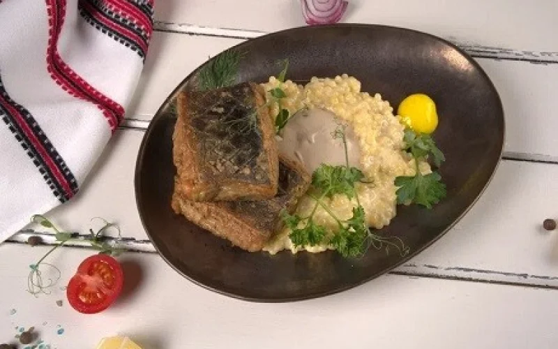 Сом казачий