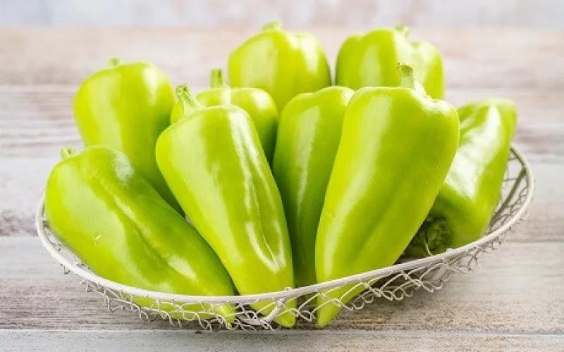 Перец Кубанский молодой