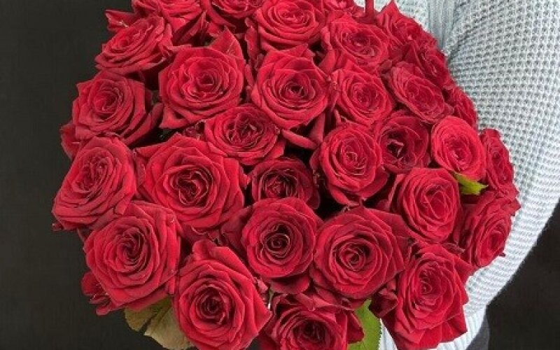 31 роза красная 40 см