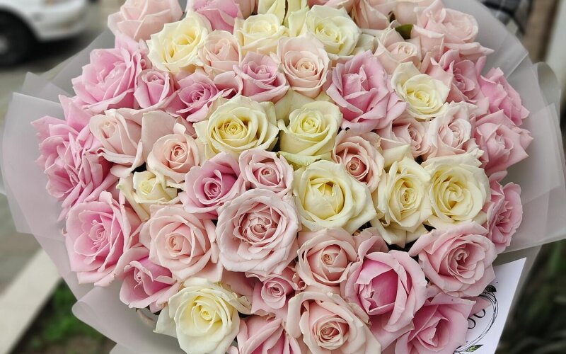 51 роза 50 см микс белые и нежно-розовые
