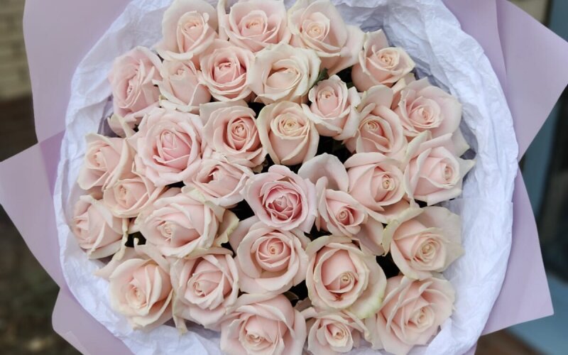Нежно-розовые розы с кремовым оттенком 31 шт 50 см