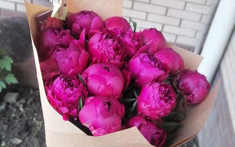 15 пионов