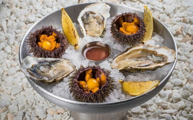 Морской ёж