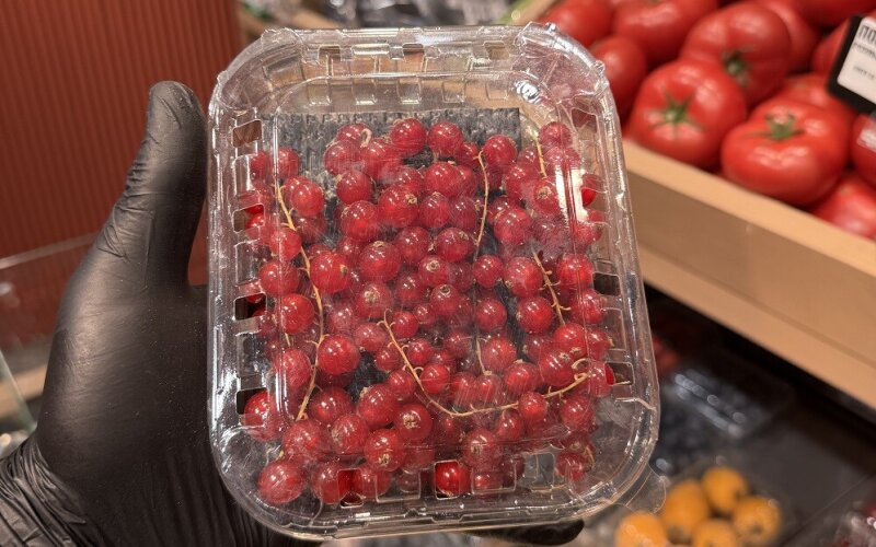 Смородина красная Мексика