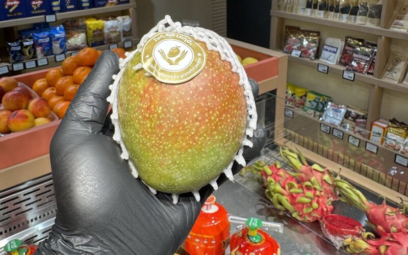 Манго голд Израиль