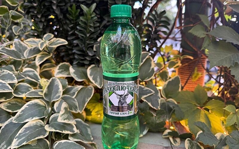 Вода Горячий ключ с газом