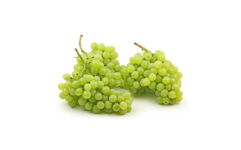 Виноград Киш Миш